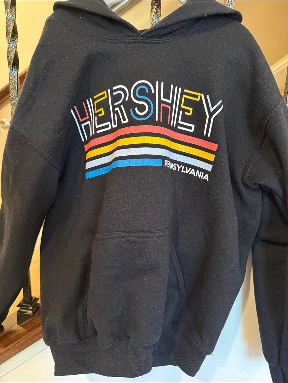 Hersey Park Hoodie